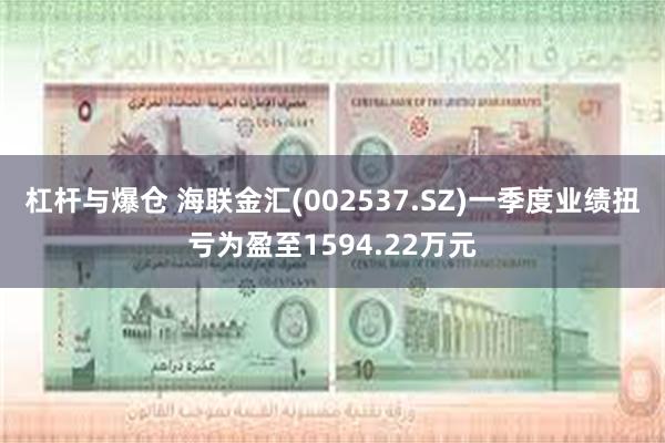 杠杆与爆仓 海联金汇(002537.SZ)一季度业绩扭亏为盈至1594.22万元