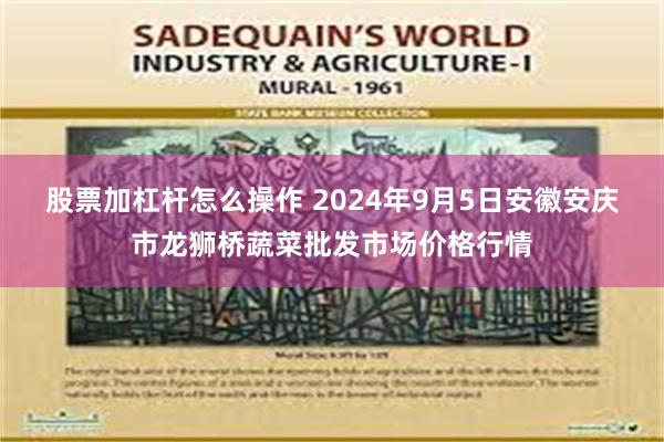 股票加杠杆怎么操作 2024年9月5日安徽安庆市龙狮桥蔬菜批发市场价格行情