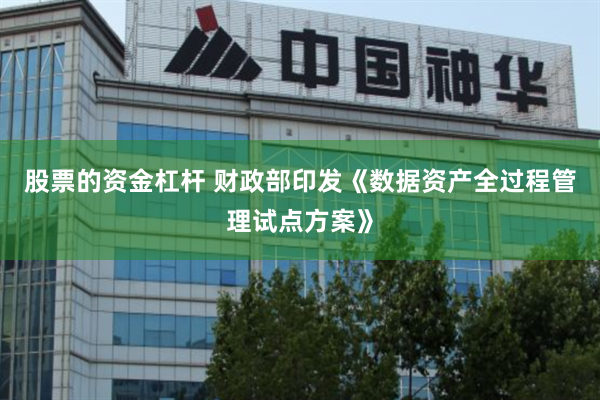 股票的资金杠杆 财政部印发《数据资产全过程管理试点方案》