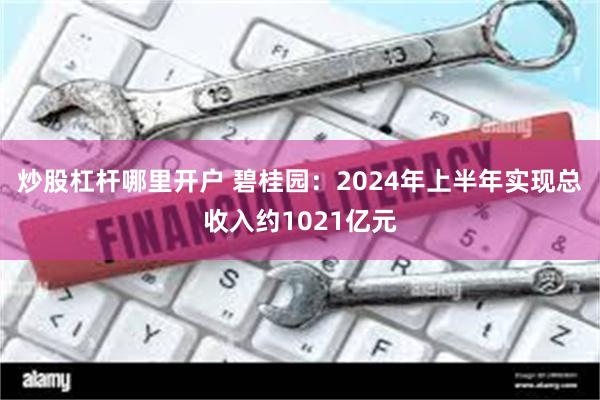 炒股杠杆哪里开户 碧桂园：2024年上半年实现总收入约1021亿元