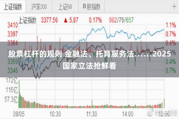 股票杠杆的规则 金融法、托育服务法……2025国家立法抢鲜看