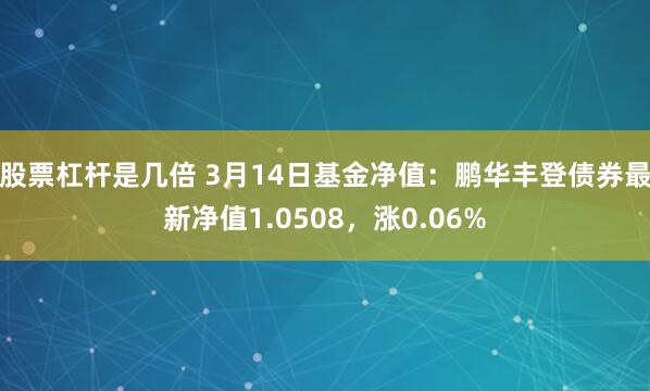 股票杠杆是几倍 3月14日基金净值：鹏华丰登债券最新净值1.0508，涨0.06%